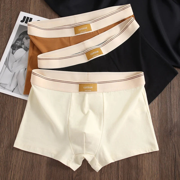 C.NEW S 2025 New Fashion Men's Underpants 3D Comfortable Summer Spring Sexy Underwear For Men's Panties 3 Pieces